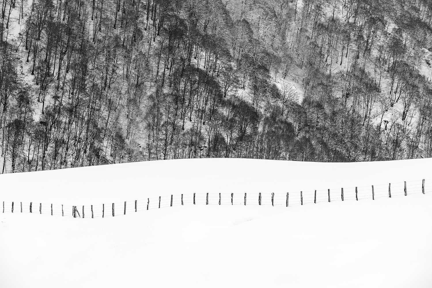 Photo d'hiver